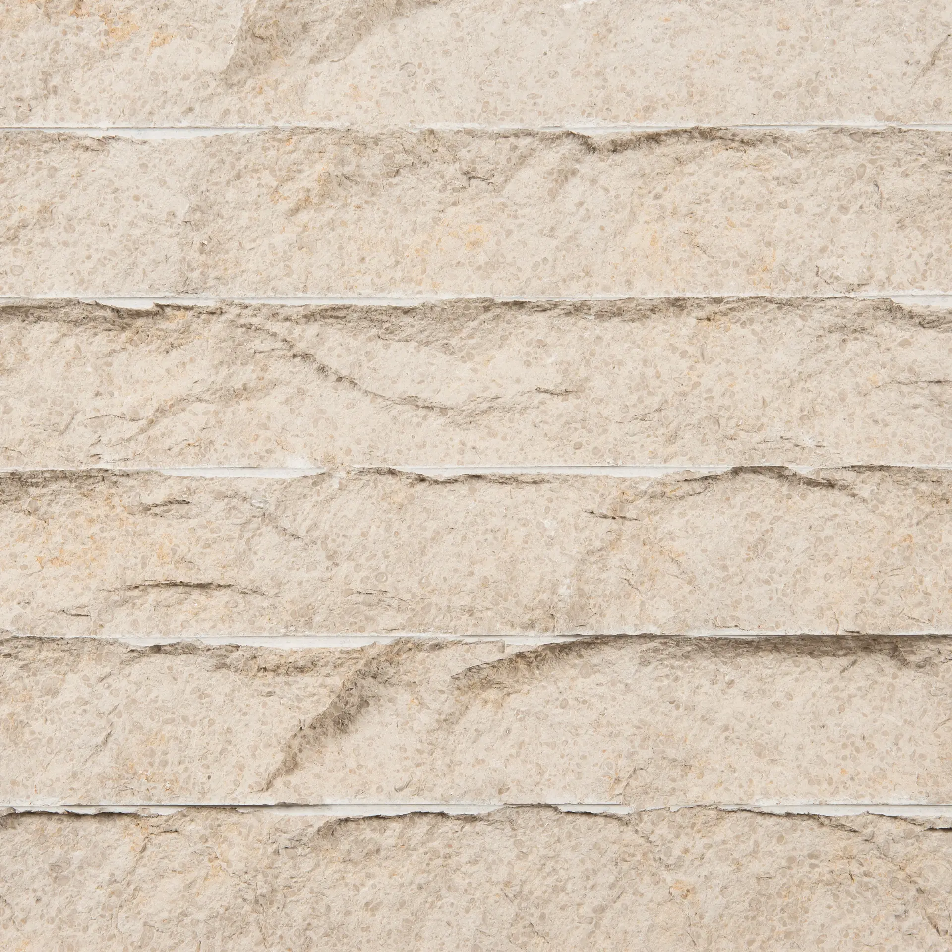 onia_beige_DSC_7226escacelhado