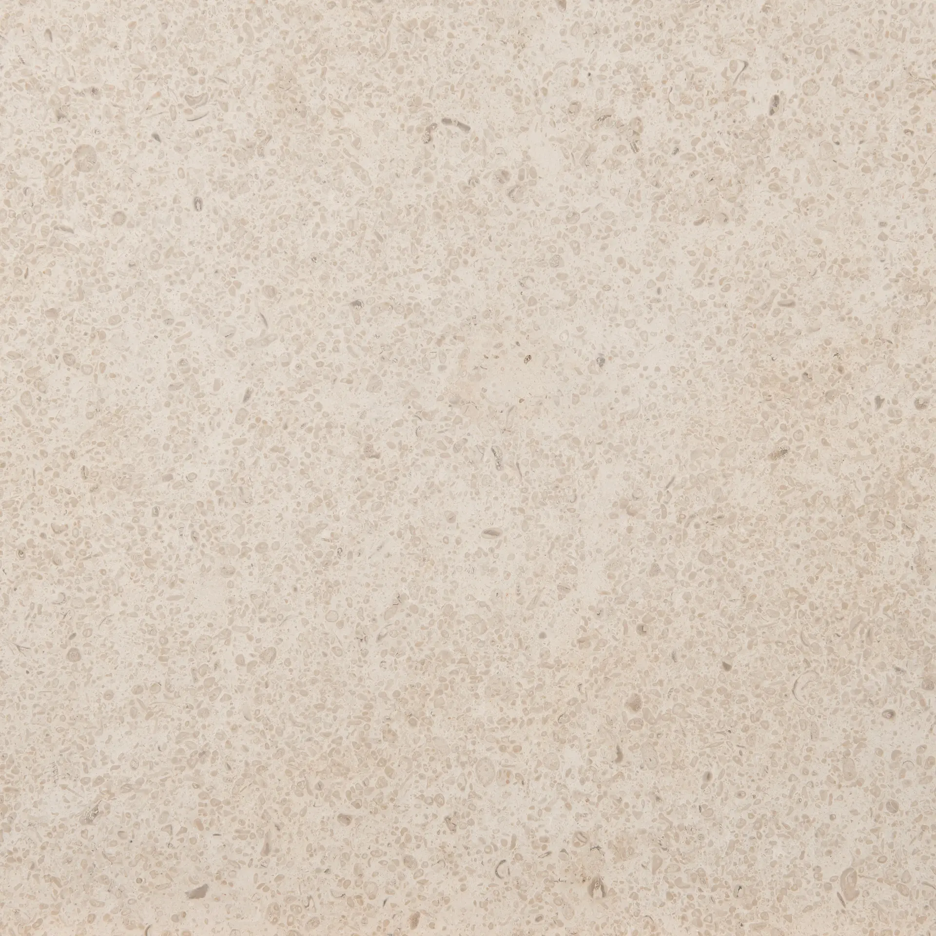onia_beige_DSC_7234escovado